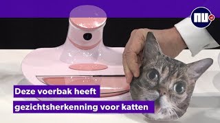 Nooit meer gestolen kattenvoer met deze voerbak met gezichtsherkenning [upl. by Harmon]