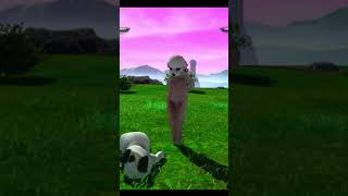 Bichon Whis Goes Boop sparkingzero dragonballz anime mods dragonballsuper funny [upl. by Jamal]