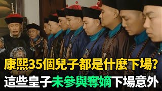 康熙35個兒子都是什麼下場？這11位皇子未參與奪嫡，下場讓人意外 [upl. by Macnamara487]