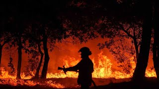 Bomberos luchan para contener el incendio forestal Bridge las llamas han consumido más de 800 acres [upl. by Trini758]