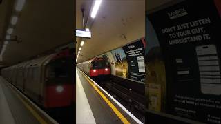 Piccadilly Line Train To Rayners Lane Approaching Leicester Square Station londonunderground train [upl. by Sachsse502]