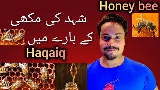 shehad ke makhi  honey bee  information about honey bee  short video [upl. by Egide524]