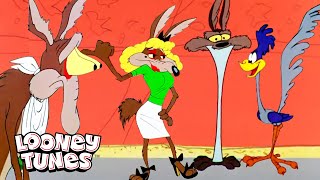 20 Minutes Of Wile E Coyote Being A Hot Mess  Looney Tunes  GenerationWB [upl. by Haman]