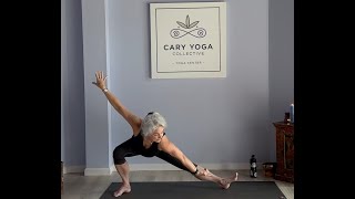 YogaMojo Vinyasa Flow  Hips amp Core  Skandasana Pose [upl. by Eitsyrc]