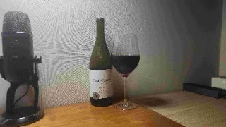 107 Precarious Oregon Pinot Noir 2019 프리케리우스 오리건 피노 누아 2019 [upl. by Darin]