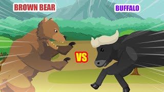 Brown Bear vs Buffalo  Carnivores vs Herbivores S1  Animal Animation [upl. by Bordie]