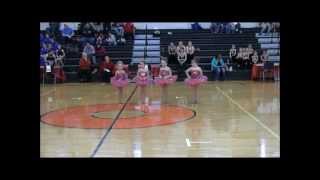 Laurens Team Baton Twirling Routine [upl. by Deraj894]