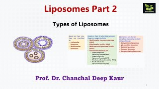 Liposomes Part 2 Types of Liposomessaiedupharmaa nddsCRDDS [upl. by Roobbie]