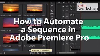 How to Automate a Sequence in Adobe Premiere Pro [upl. by Akanke830]