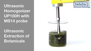 Ultrasonic Extraction of Bioactive Compounds Using a 100W Sonicator [upl. by Jobyna]