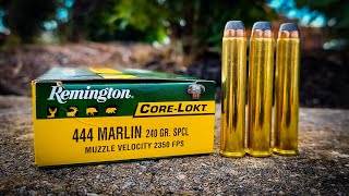 444 Marlin  Remington CoreLokt [upl. by Eerahs]