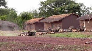 Accrochage entre soldats français et un groupe armé en Centrafrique [upl. by Anilorac]