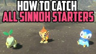 How to Catch ALL Sinnoh Starters  Pokémon Legends Arceus [upl. by Fadden]