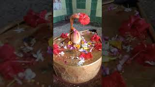 Tu antaryami bhakti trending funny astha youtube music song [upl. by Nord]