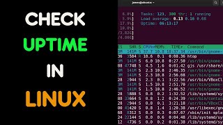 How to check uptime on Linux [upl. by Chemush955]