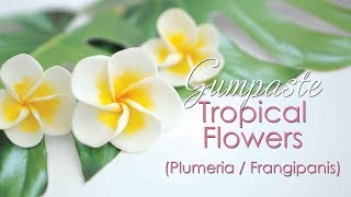 Gumpaste Plumeria  Frangipanis Tropical Flower Tutorial [upl. by Lissie935]