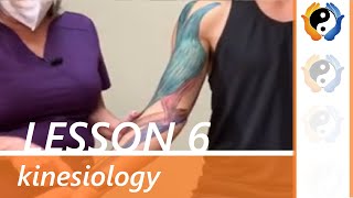 Lesson 6 Muscles of elbow and radioulnar joint movement [upl. by Frederigo425]