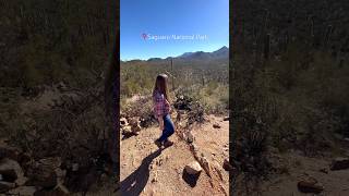 Saguaro National Park Hiking [upl. by Blasien]