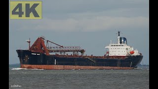 YEOMAN BANK  Shipspotting Germany 🇩🇪 IMO 7422881  River Elbe near Otterndorf  4K VIDEO [upl. by Caputo]