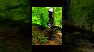 THE TREE EXACTED ITS REVENGE shorts shortfeed trollface edit funny cool comedyshorts viral [upl. by Lysander]