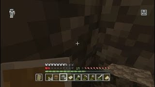 Minecraft Near Death Experience [upl. by Inger41]