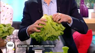 Les salades une famille composée [upl. by Blossom]