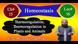 Biology Ch15Lecture16 Thermoregulation in animal and plants FSc 2nd Year [upl. by Etnuad]