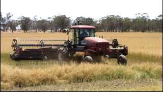 Canola Swathing 2013 [upl. by Nogas]