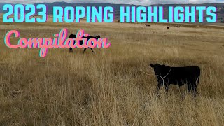 EPIC Roping Compilation [upl. by Froh980]