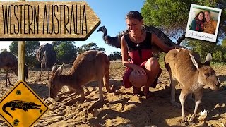 WWOOFing in Australia WAMINDA Wildlife Sanctuary  WA ENG subs [upl. by Otero]