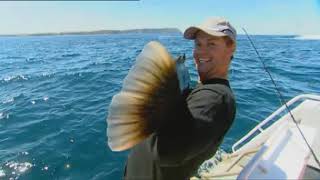 IFISHTV Blue Groper amp Kingfish Wedge Island South Australia [upl. by Narcissus]