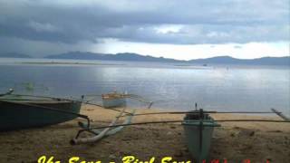 Bicol Song  Ika Sana Sung byRenato Balderama [upl. by Ahsinahs]