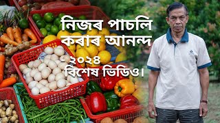 ২০২৪ চনৰ পাচলি বাৰী সাজু হৈছেনে Winter Vegetable Plantation Guide  2024 Special video [upl. by Theobald]