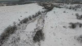 Winter flights GepRC Cinelog 35v2 SpeedyBee FS225v2 GoPro 12 [upl. by Enuj112]