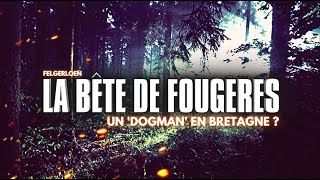 LA BÊTE DE FOUGÈRES  UN DOGMAN EN BRETAGNE [upl. by Raeann815]