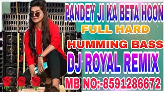 PandeyJiKaBetaHoonDJROYALMIXING MIX BY DJ SABIR BHAIdj remix [upl. by Rees]