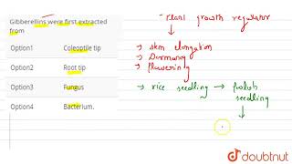 Gibberellins were first extracted from [upl. by Oxford]