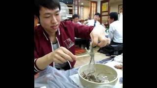 Korean eating living Octopus San Nakji 산낙지 [upl. by Anima]