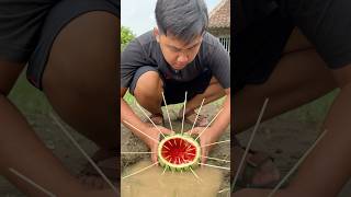 Bikin Jebakan Dari Buah Semangka Dapat Ikan Lele Ukuran Monster survival skills semangka lele [upl. by Venterea775]