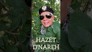 Hazét DNareh  Desahogo Cover [upl. by Latterll]