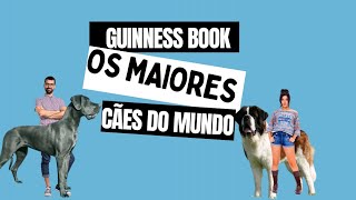 OS MAIORES CÃES DO MUNDO [upl. by Hras422]