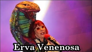 Erva Venenosa Poison Ivy  Rita Lee Cover Instrumental por Breno Monteiro [upl. by Oby197]