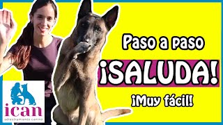 CÓMO ENSEÑAR a un PERRO A SALUDAR  Adiestramiento Canino [upl. by Sarson428]