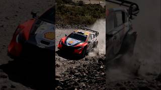 Esapekka Lappi on the hunt 🤯 wrc safarirallykenya hyundaii20 hyundaimotorsport rallycar [upl. by Ekram]