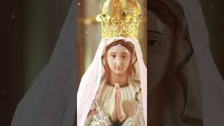 Salve Regina Blessed Feast Day of the Assumption [upl. by Kerekes]