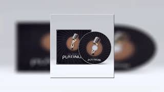 Almirante  Perdí Otra Vez Las Propias Platinum AUDIO [upl. by Placia]