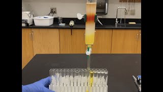 Column Chromatography [upl. by Nosduh60]