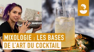 Mixologie  les bases de lart du cocktail [upl. by Eiznekam]