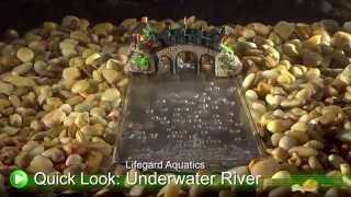 Jazz Up Your Aquarium With an Underwater River DrsFosterSmith [upl. by Kunin]