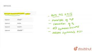 Noncyclic photophosphorylation produces [upl. by Divod548]